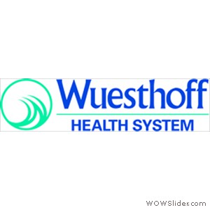 WHSystem_logo_NO_tag_horiz_color(3) WHSystem_logo_NO_tag_horiz_color(3)